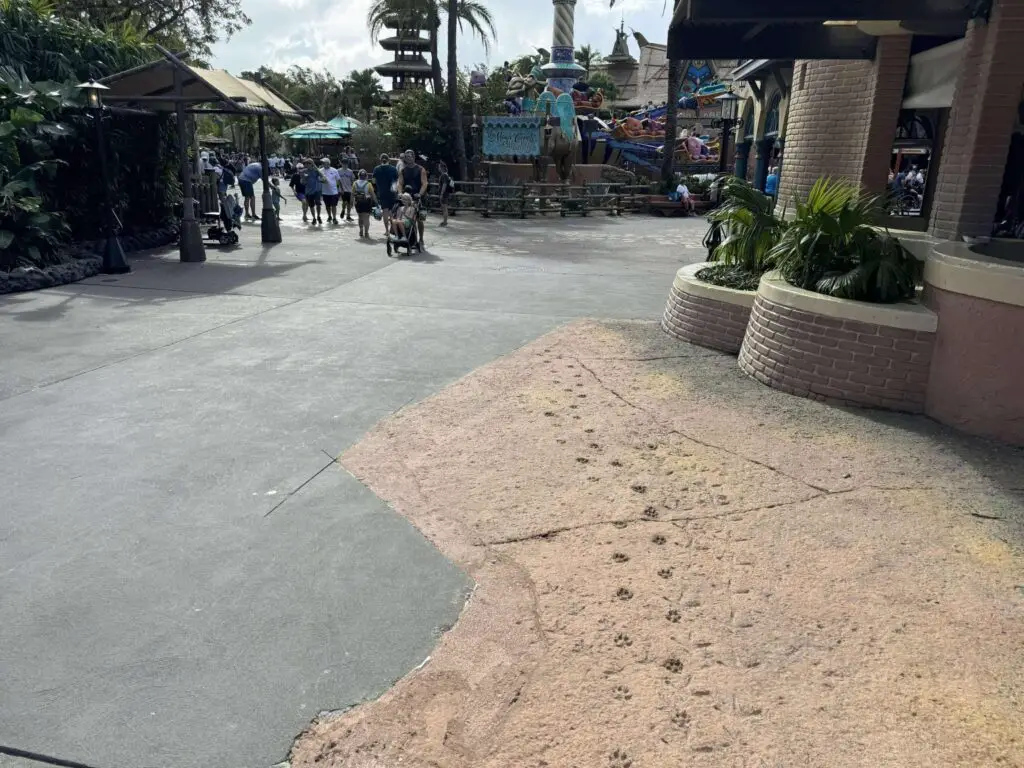 New Animal Print Pavement Installed Outside Sunglass Hut in Adventureland 1