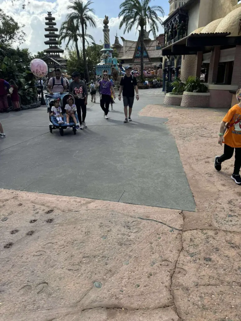 New Animal Print Pavement Installed Outside Sunglass Hut in Adventureland 2