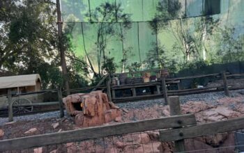 Scrim Installed at Big Thunder Mountain Railroad as Refurbishment Begins 2