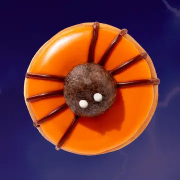 Spider+Donut_s