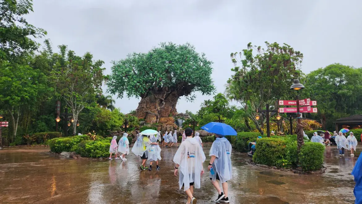 Disney World Halts Park Pass Reservations for October 9th as Tropical Storm Milton Approaches