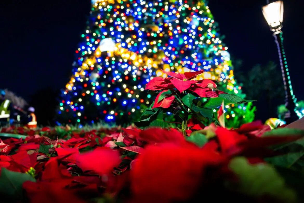 Behind the Scenes Look at How the Holidays Bloom at Disney World