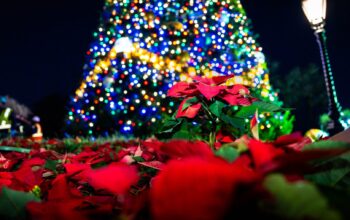 Behind the Scenes Look at How the Holidays Bloom at Disney World 1