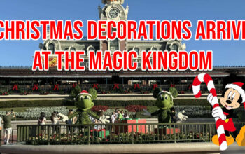 Christmas Decorations Magic Kingdom