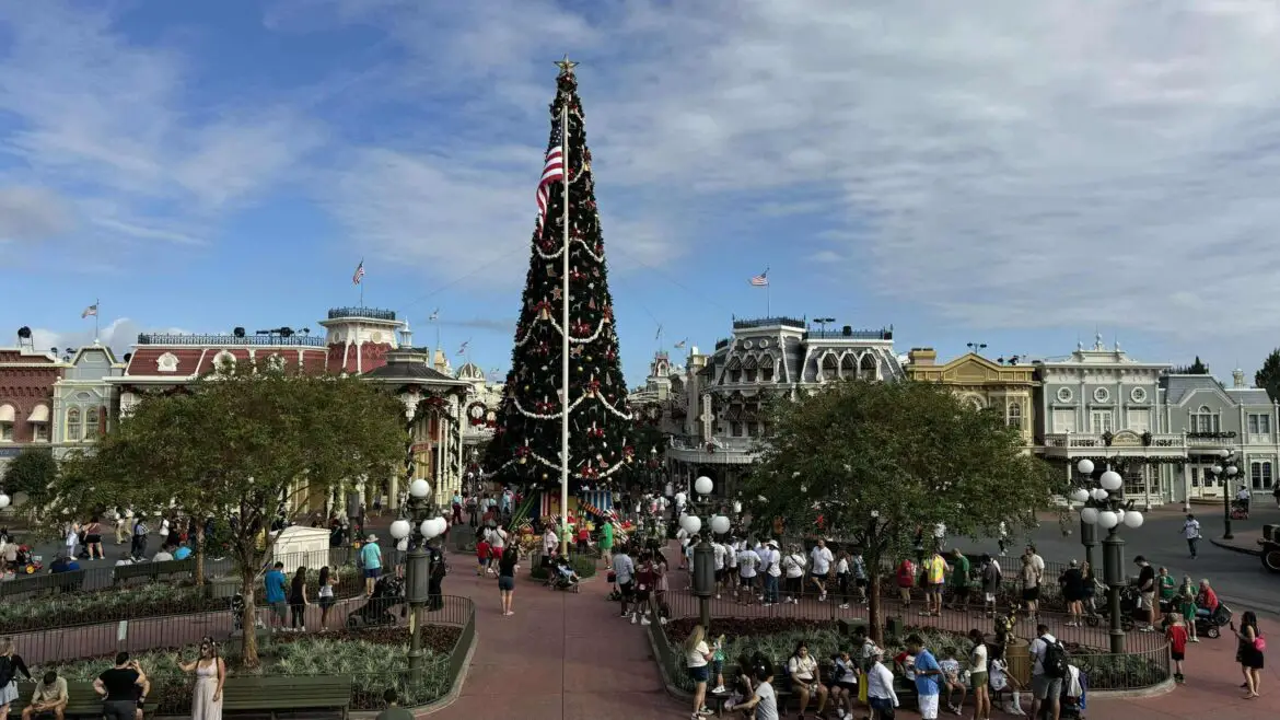 GIANT Christmas Tree Arrives at Magic Kingdom for the 2024 Holiday Season