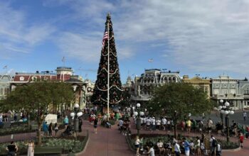 Christmas Tree Arrives at Magic Kingdom for the 2024 Holiday Season