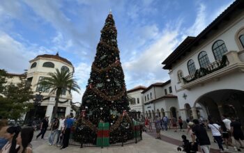 Christmas Tree Stroll Disney Springs