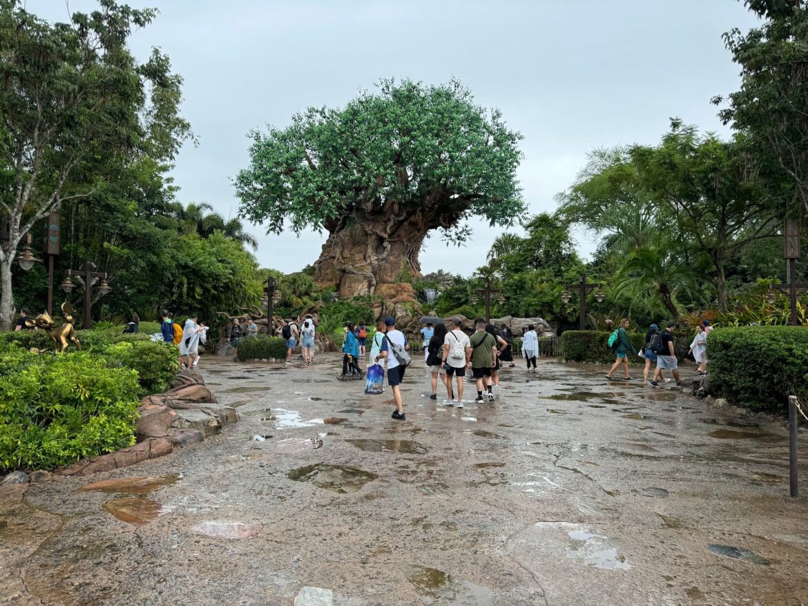 Disney World Extending Theme Park Hours for Thanksgiving Week