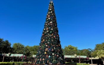 Disney's Animal Kingdom Decorated for the Holidays with Festive Christmas Tree 1 (1)