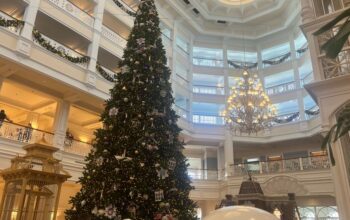 Grand Floridian Resort Christmas Tree Up Now for the Holidays 2024 1