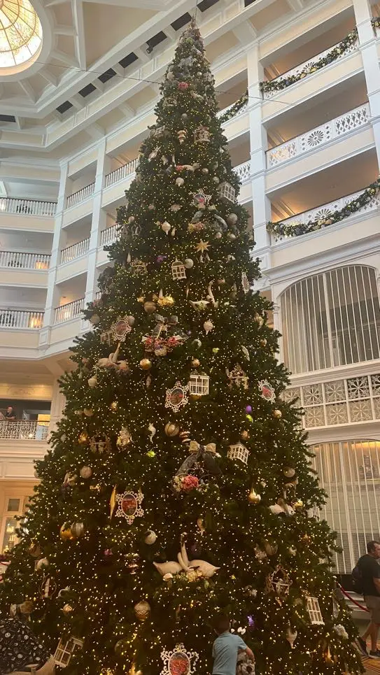 Grand Floridian Resort Christmas Tree Up Now for the Holidays 2024 2