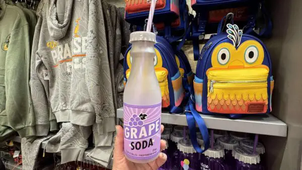 Grape Soda Water Bottle