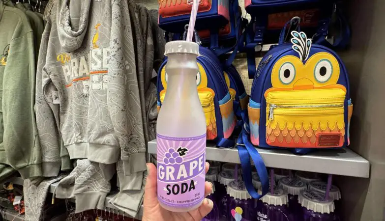 Grape Soda Water Bottle