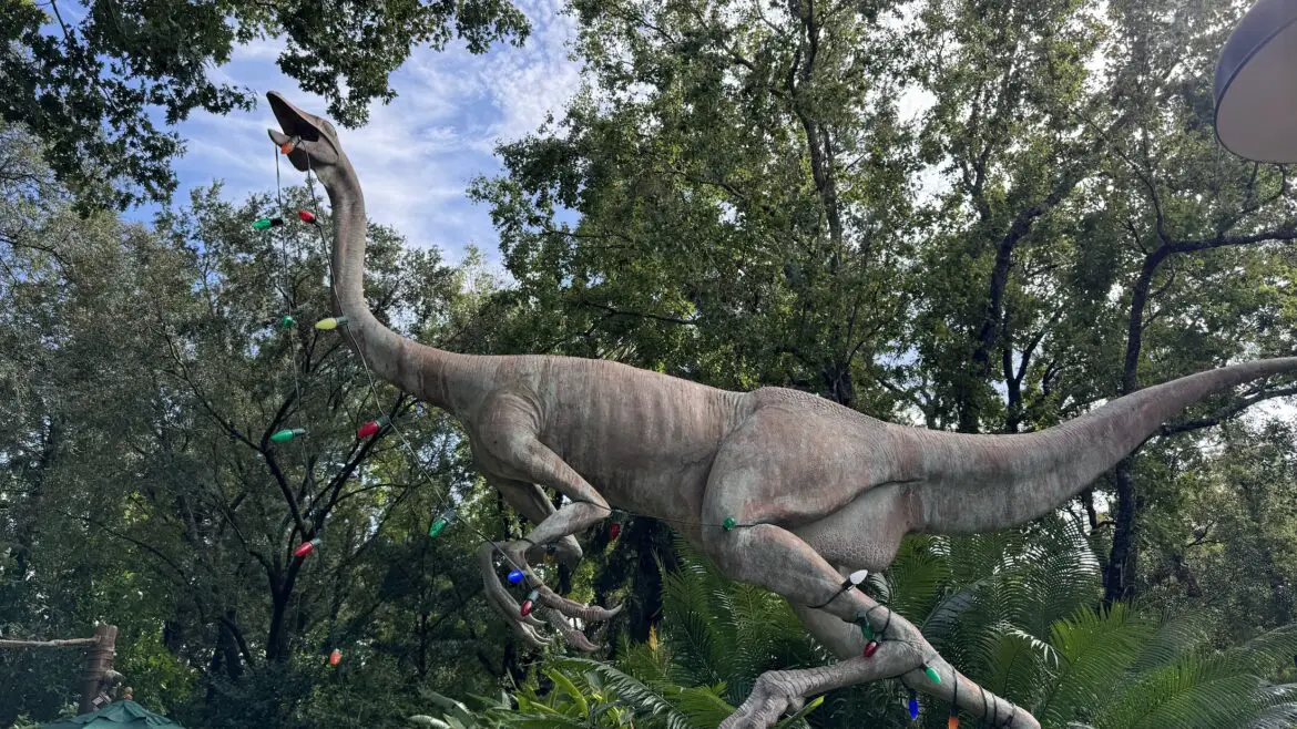 Disney’s Animal Kingdom Decorated for the Holidays 2024