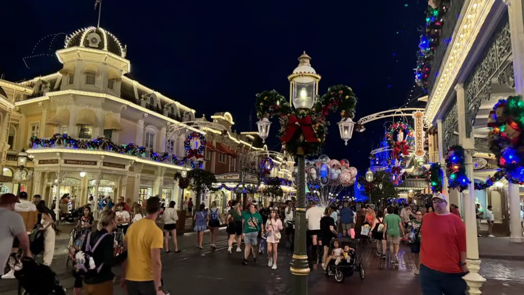 Magic Kingdom Crowds