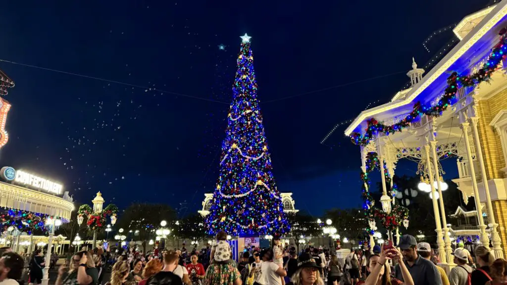 Magic Kingdom Crowds 2