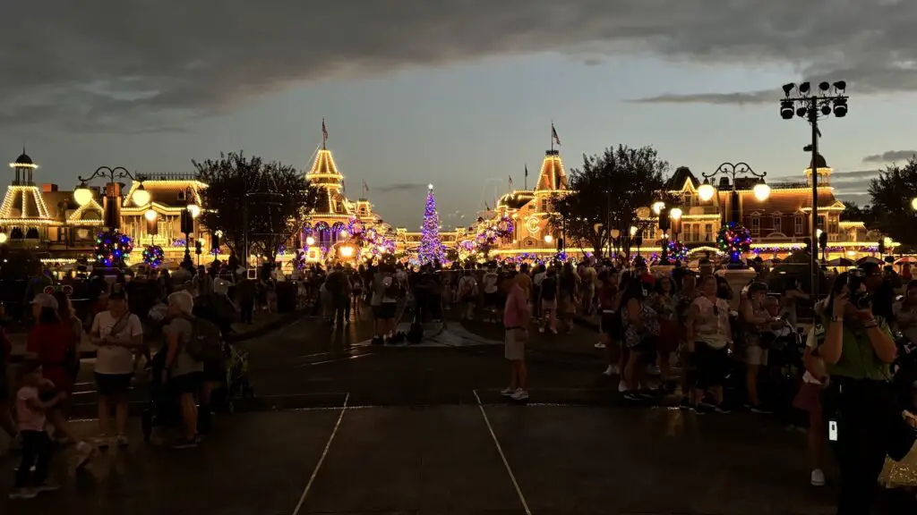 Magic Kingdom Crowds 3