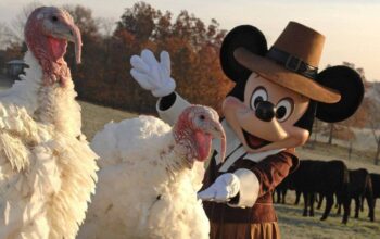 orlando-florida-walt-disney-world-mickey-mouse-turkey-thanksgiving-two-field (1)