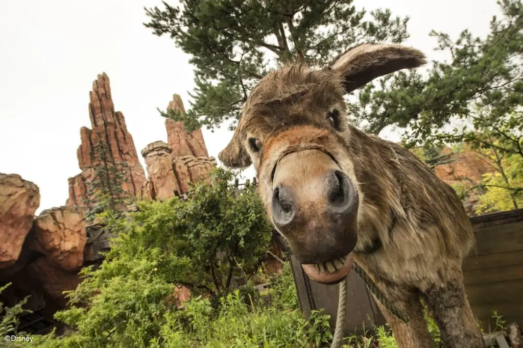 Big Thunder Mountain in Disneyland Paris Coming for Long Refurbishment in January 2025 2