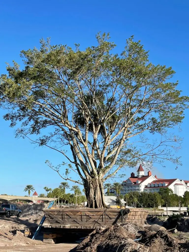 Disney's Polynesian Villas & Bungalows Embrace Sustainability with New Island Tower 5