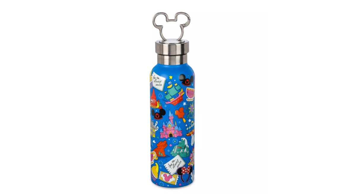 Quench Your Thirst, Disney Style: The Play in the Park Stainless Steel Water Bottle