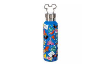 Play in the Park Stainless Steel Water Bottle