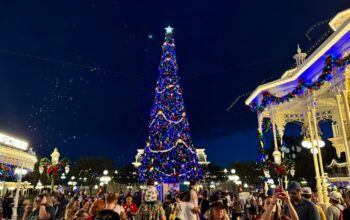 Lightning Lane Premier Pass Sells Out for Epcot and Magic Kingdom Ahead of Christmas Week 2