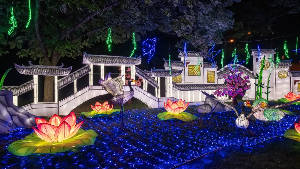 Ring in the New Year early at Asian Lantern Festival: Into the Wild