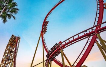 hollywood rip ride rockit