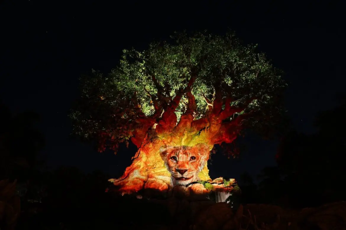 Disney Shares Behind Scenes Look at new Mufasa Tree of Life Awakenings at Animal Kingdom