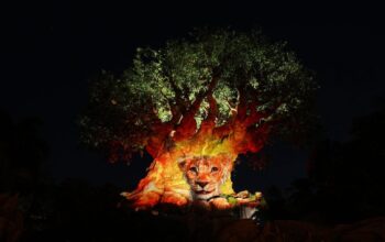 tree of life