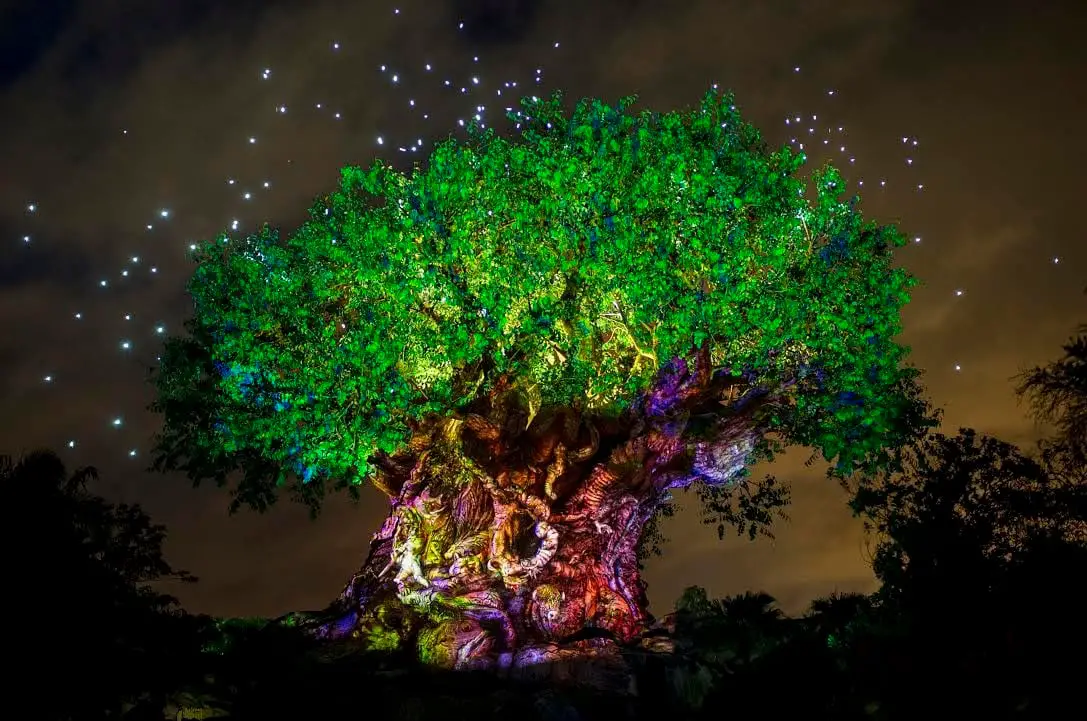 An all-new Mufasa-inspired projection show is coming to Animal Kingdom