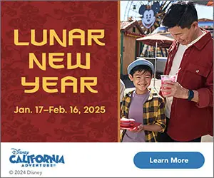 DL Lunar New Year 2025