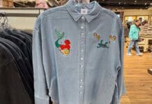 Ariel Denim Shirt