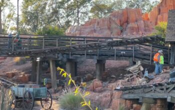 Large Piece of Track Removed on Big Thunder Mountain Railroad as Refurb Underway 1