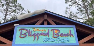 Blizzard Beach 1