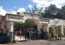 Harambe Market to Change Menu Following DinoLand U S A Closure