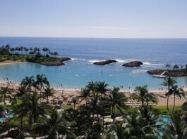 aulani