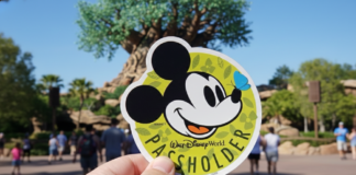 Annual Passholder Magic Kingdom