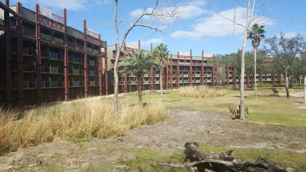 Animal Kingdom lodge