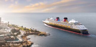 dcl dan