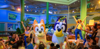 Blueys Wild World at Conservation Station