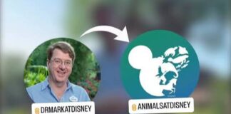 Animals at Disney Takes Over Dr Mark Penning's Social Media Channels