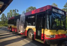 New Roadway Causes Bus Service Changes for Magic Kingdom Resorts