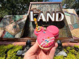 Mickey shaped 25th Anniversary Celebration Macaron