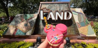 Mickey shaped 25th Anniversary Celebration Macaron
