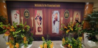 disneyland hotel