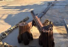 Echo Lake Refurbishment Continues With Freshly Painted Logs and Stumps