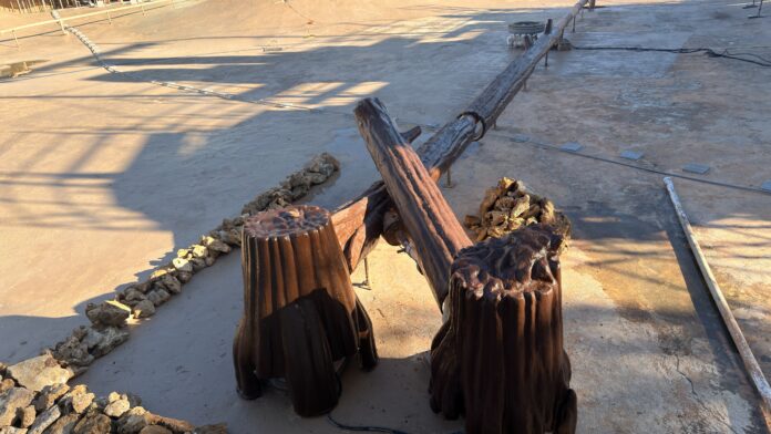 Echo Lake Refurbishment Continues With Freshly Painted Logs and Stumps