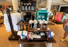 Explore the Ink & Paint Merchandise at The Magic of Disney Animation